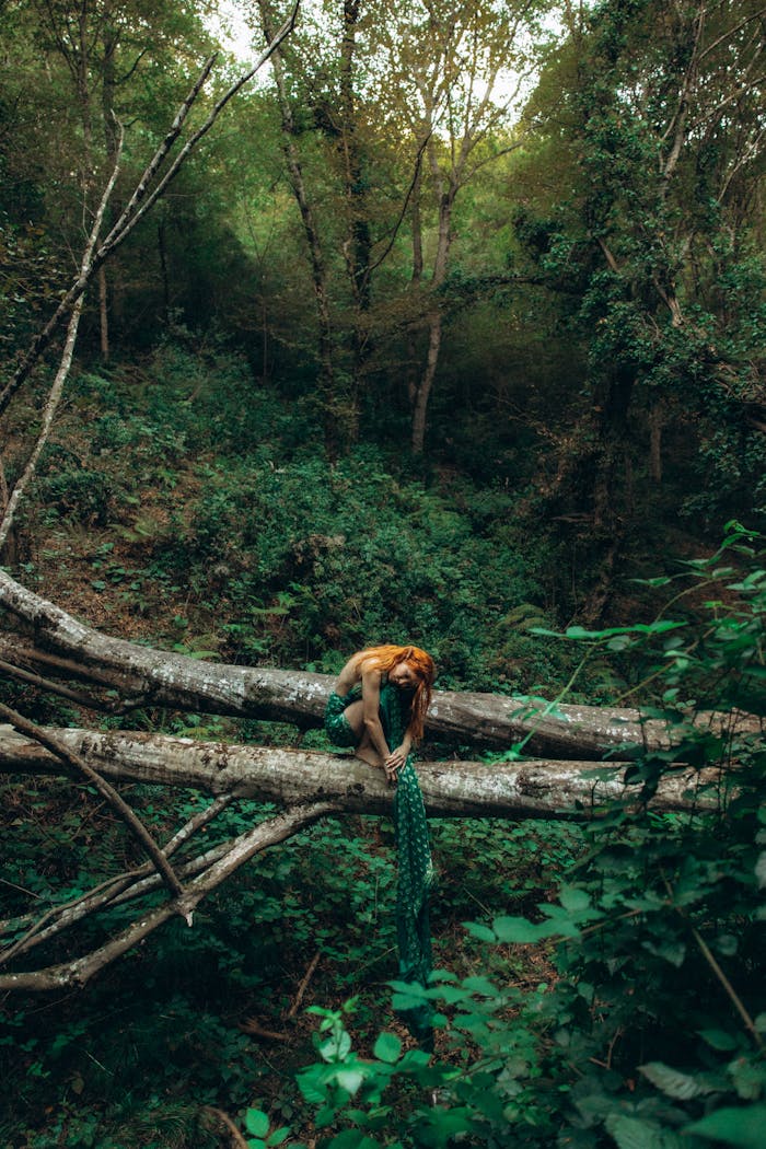 A person in a forest sits on a fallen tree, surrounded by lush greenery.